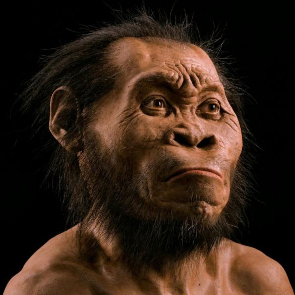 Meet your Posher, Juanjose